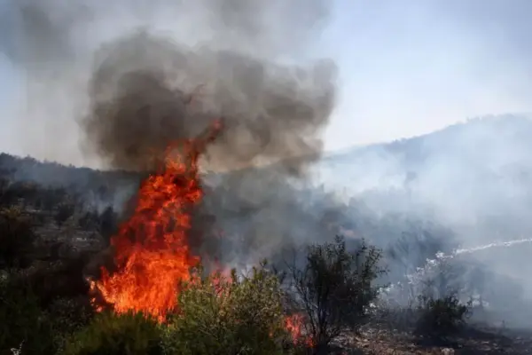 Η Ιστορία και Ανάπτυξη της Παλαιάς Φώκαιας image 1