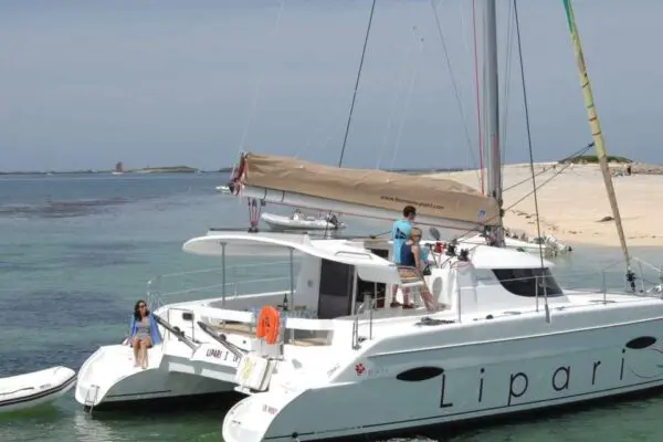 Πάρη: Ιδιότητες και Οφέλη για την Υγεία