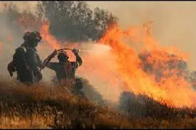 L’Incendie en Crète : Une Tragédie Écologique et Humaine