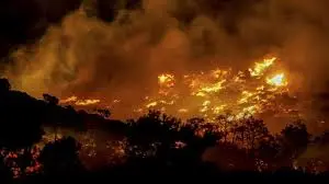Waldbrand auf Kreta: Aktuelle Entwicklungen und Auswirkungen