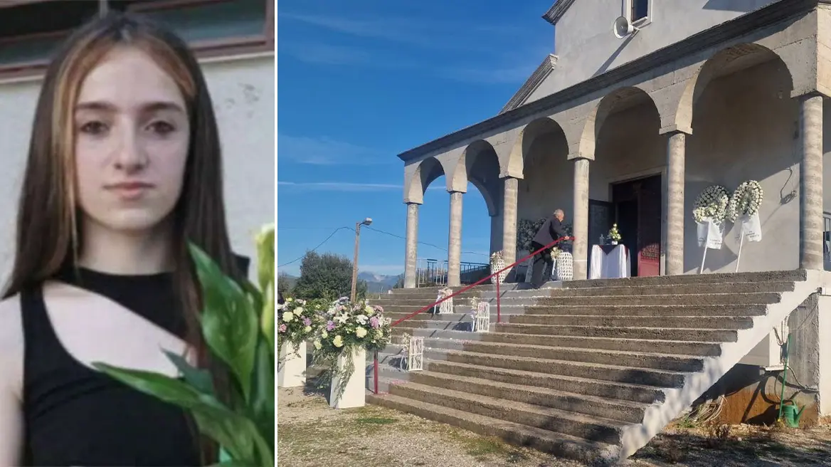 Κατανόηση του Ιού Τσικουνγκούνια και της Εξάπλωσής του image 1