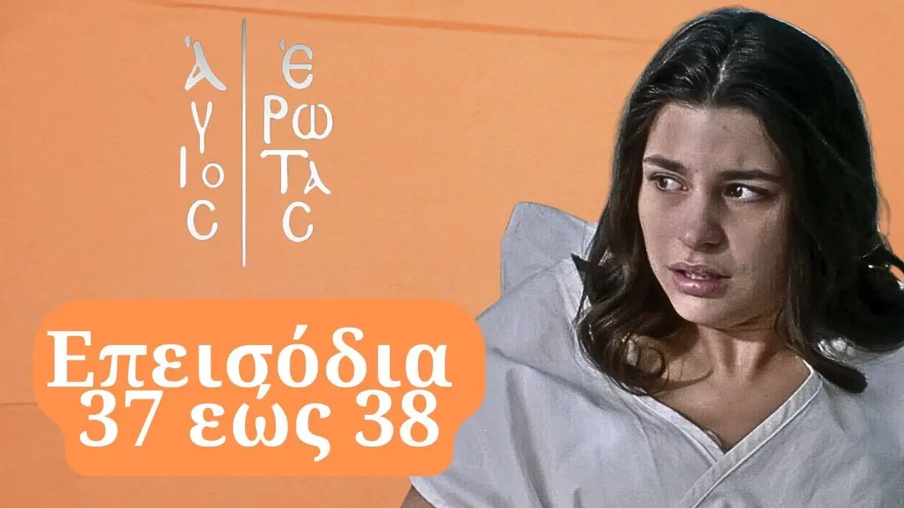 Ανασκόπηση των δραστηριοτήτων του Μιχαλή Σηφακή image 1