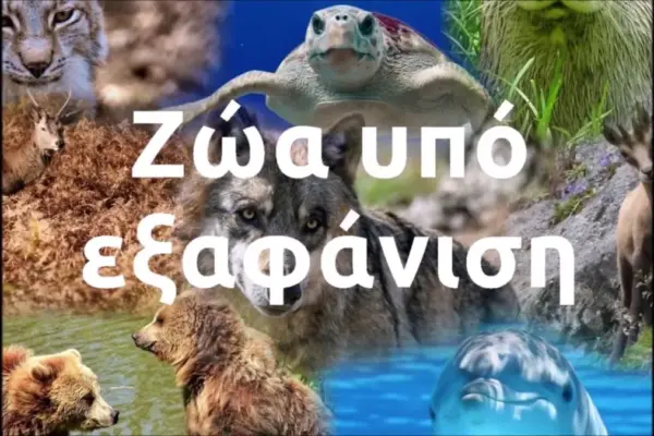 εξαφάνιση — GR news
