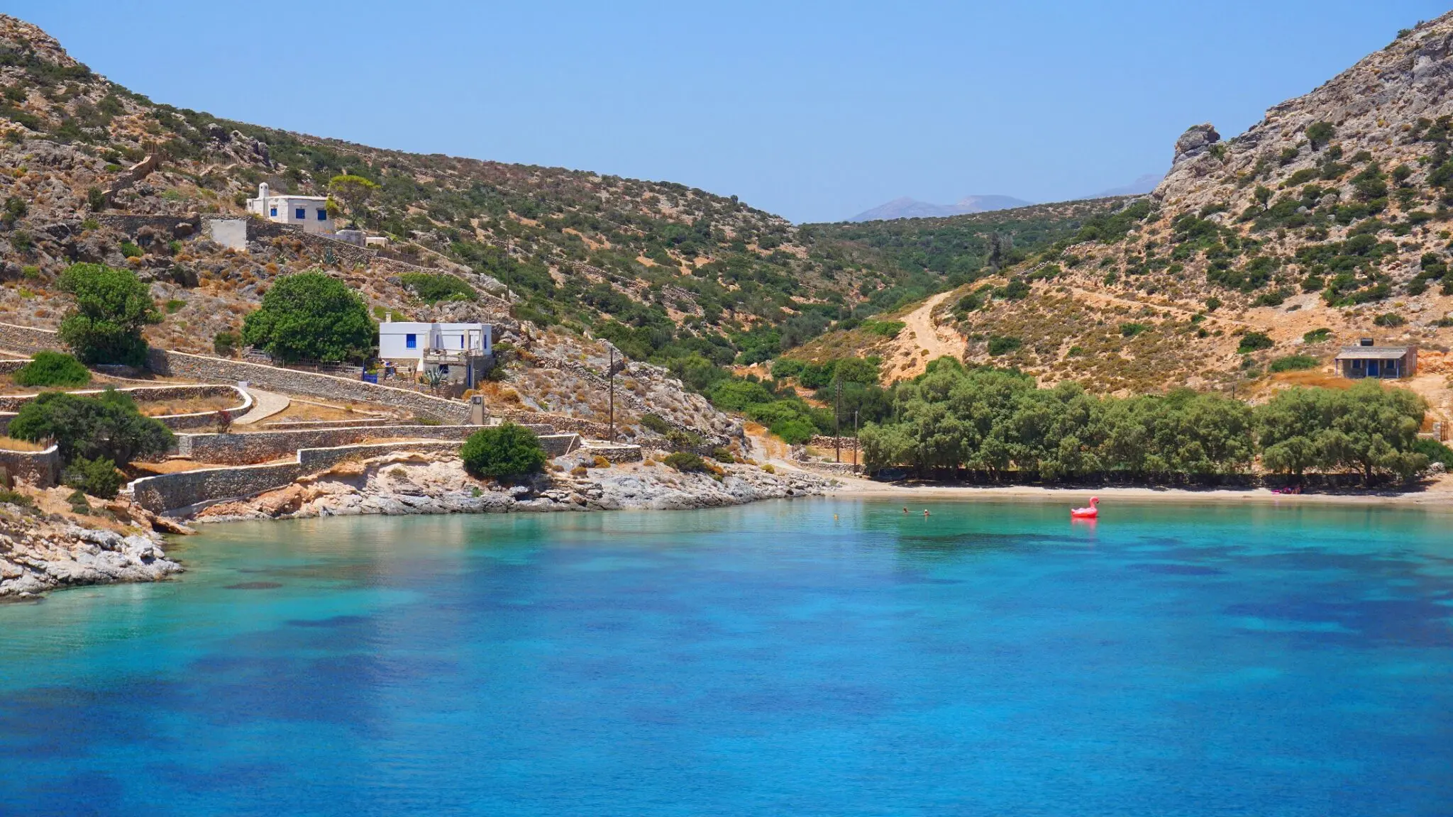 Προγράμματα ΔΥΠΑ: Στήριξη και Ευκαιρίες στην Αγορά Εργασίας