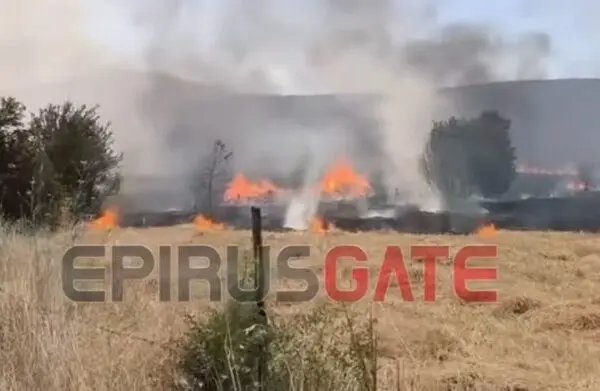 Φωτιά στην Ιωάννινα: Τρέχουσες εξελίξεις και επιπτώσεις