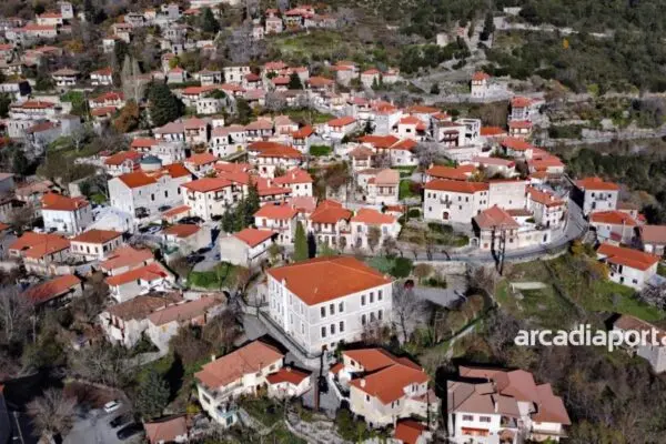 Οι Άγριλες και η Σημασία τους στο Οικοσύστημα image 1