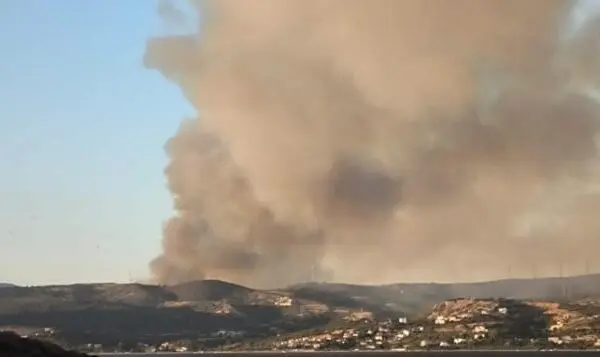 Η Φωτιά στην Εύβοια: Καταστροφές και Οι Επιπτώσεις της