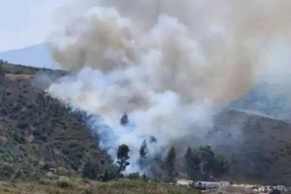 Παράταση Φορολογικών Δηλώσεων στην Ελλάδα: Τι Πρέπει να Ξέρετε