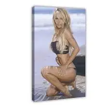 Η Ζωή και η Καριέρα της Pamela Anderson image 1