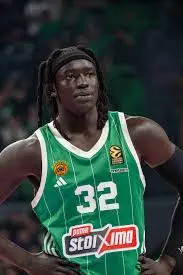 Η Ιστορία και η Σημασία του Παναθηναϊκού BC image 1