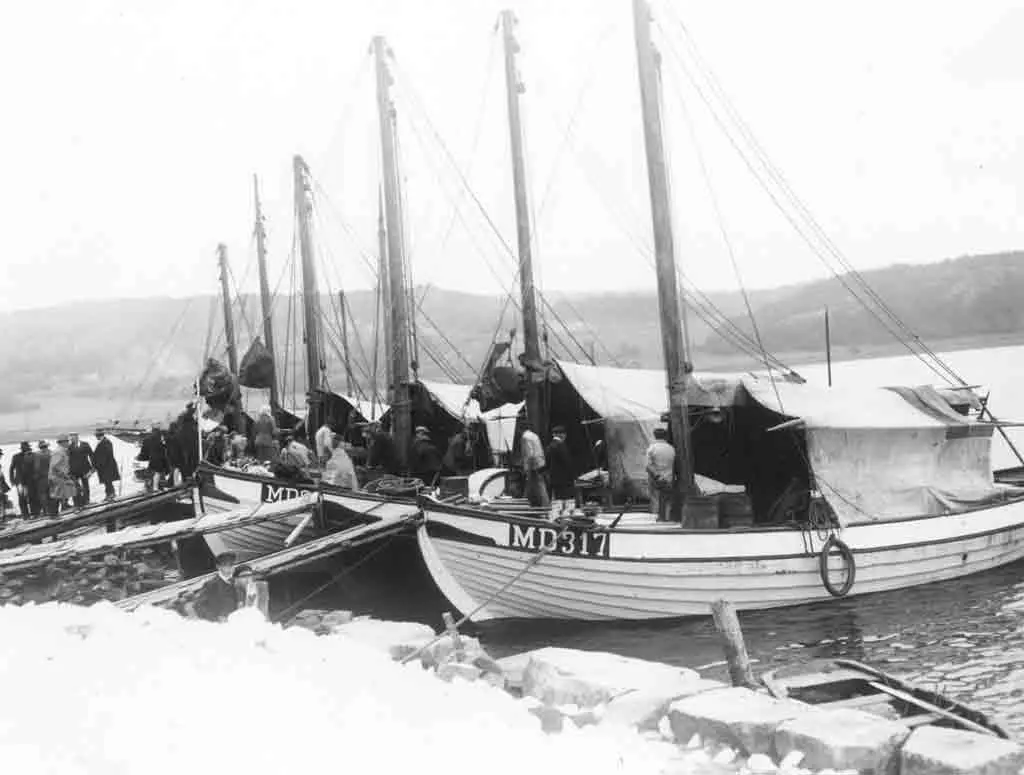 Ανακοινώσεις και στρατηγικές της αλυσίδας μασούτης image 1